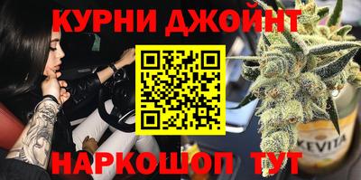 дживик Можга