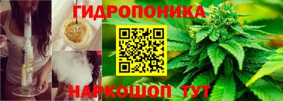 ПСИЛОЦИБИНОВЫЕ ГРИБЫ Мариинск