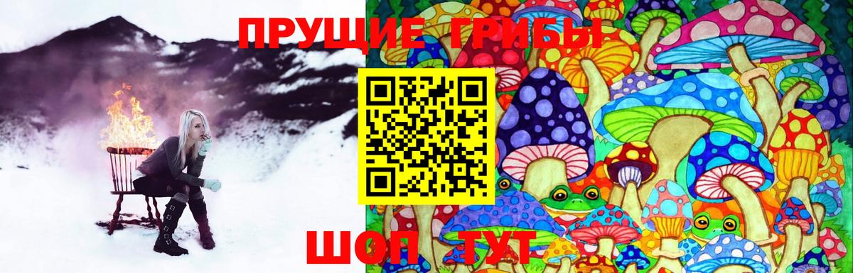 Галлюциногенные грибы Cubensis  Вход с VPN  Соликамск 