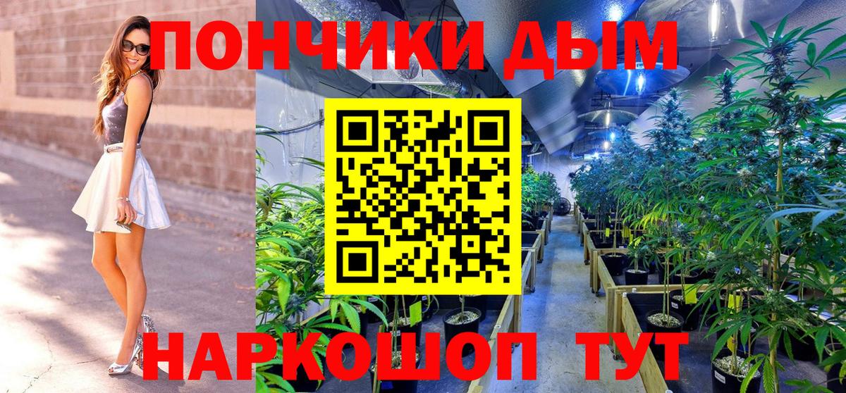 Канабис семена  Вход с VPN  Конопля семена  Соликамск  Бошки марихуана VHQ 
